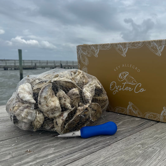 100 Count Box with Shucking Knife