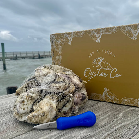 50 Count Box with Shucking Knife