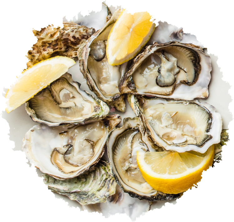 Key Allegro Oyster Co photo 1 in Rockport